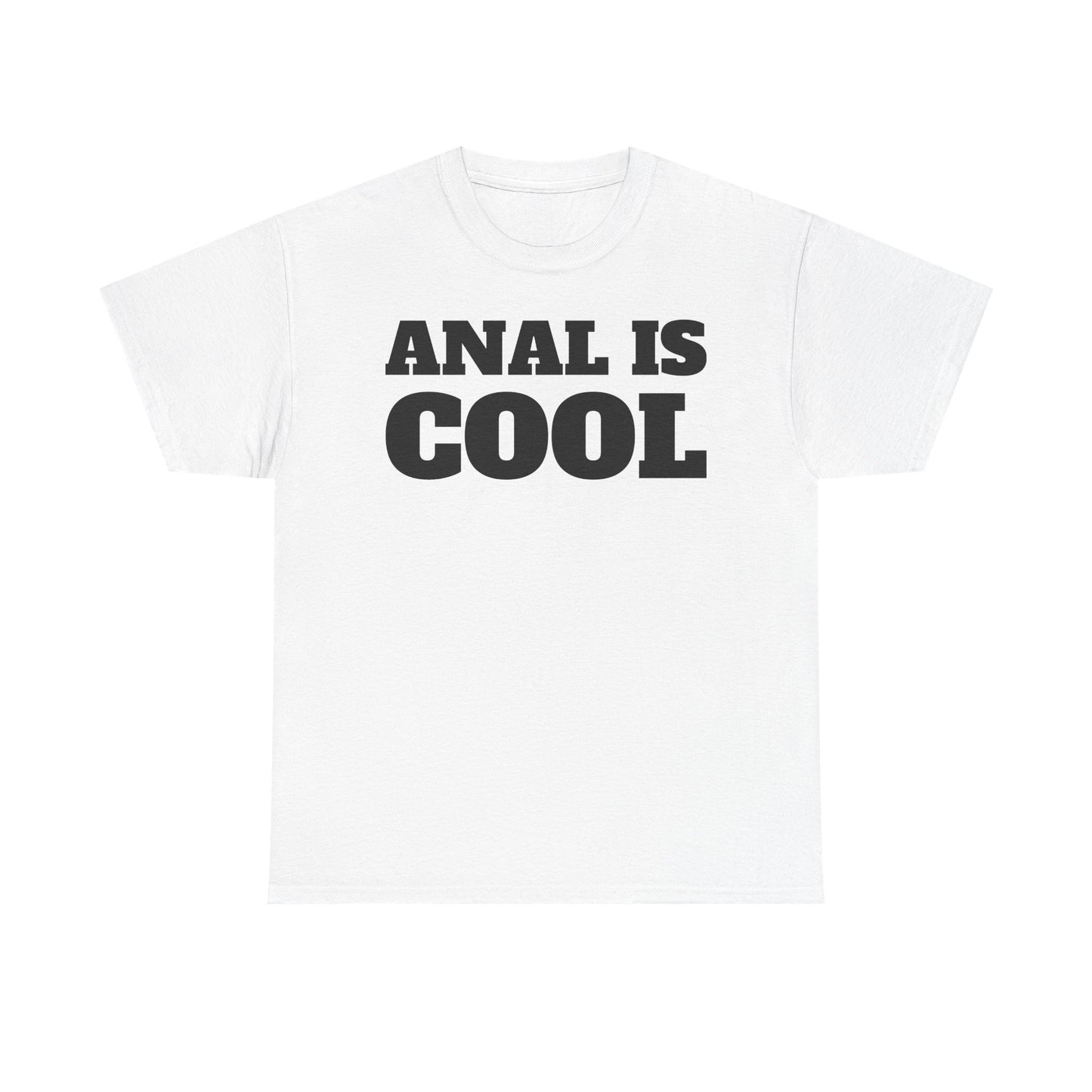 ANAL IS COOL T-Shirt